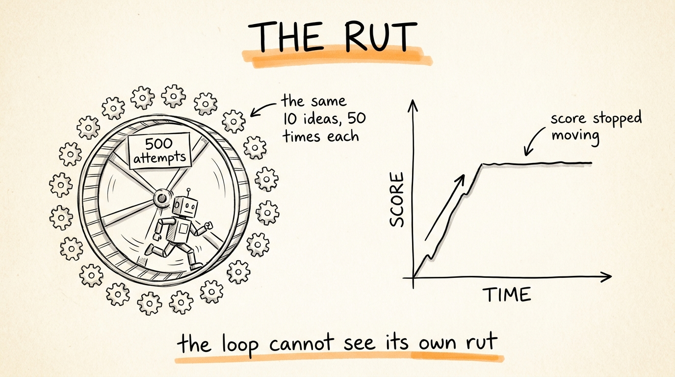 The Rut