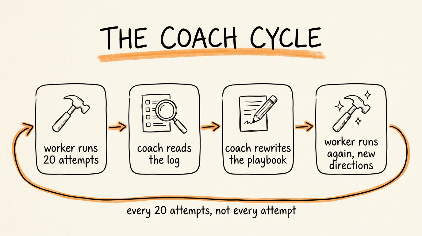 The Coach Cycle