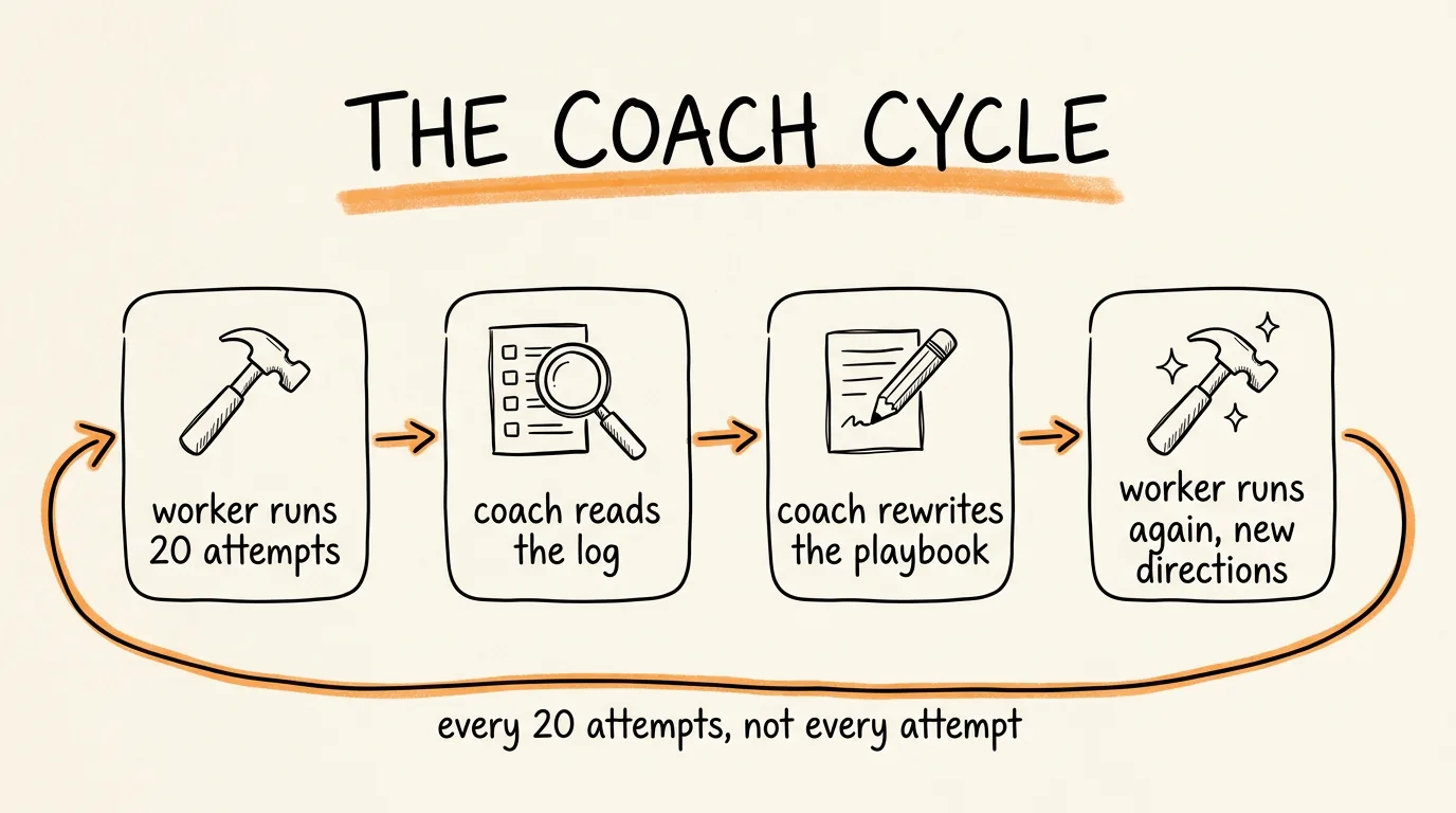 The Coach Cycle