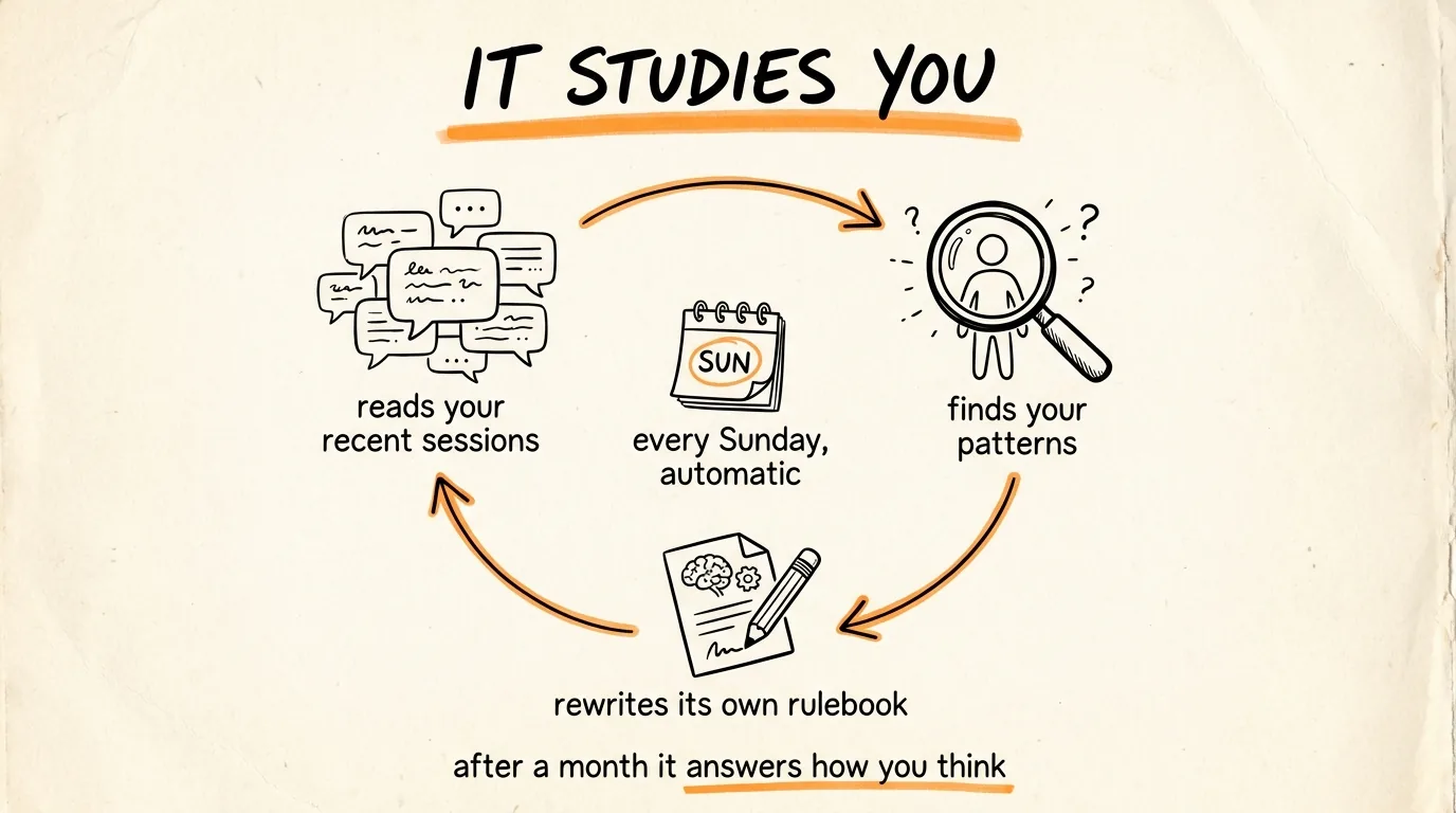 It Studies You